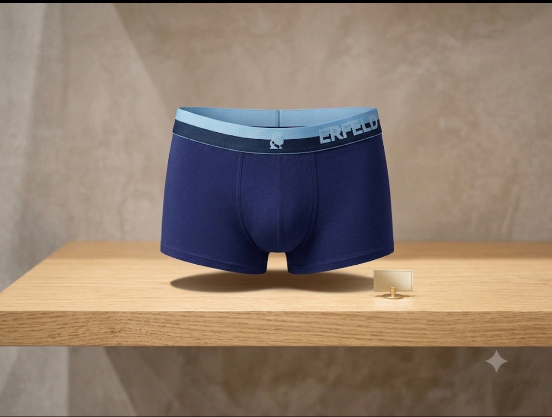 RAK KAR Blue Colour Surplus Quality Men’s Underwear 990907