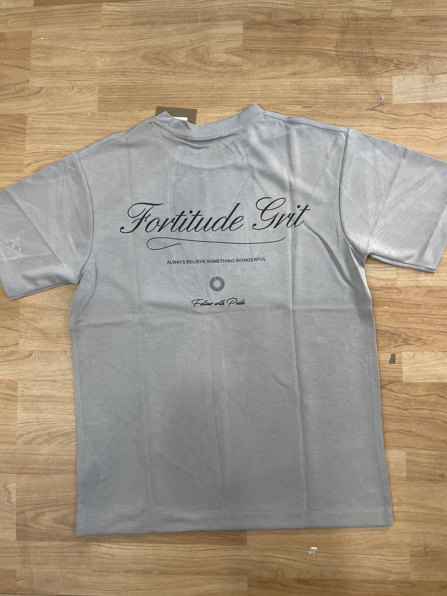 OUTLIER Grey Colour Back Print Premium Quality Round Neck T-Shirt OL 470