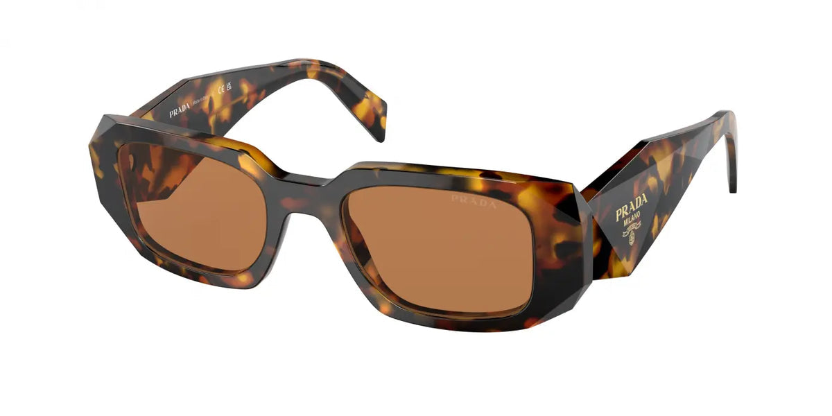 Arp Leopard Frame Brown Shade Premium Quality Unisex Sunglass SUN008