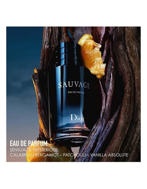 Sauvage Dior Perfume Vaporisateur Spray EDP 100ML