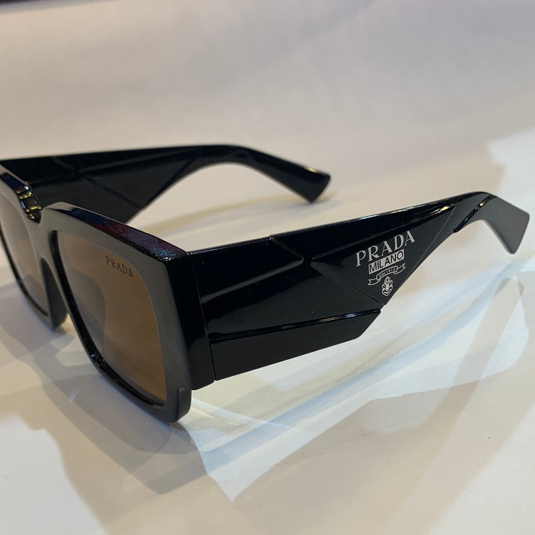 ARP Glossy Black Frame Brown Shade Sunglasses 8795 69 13-143