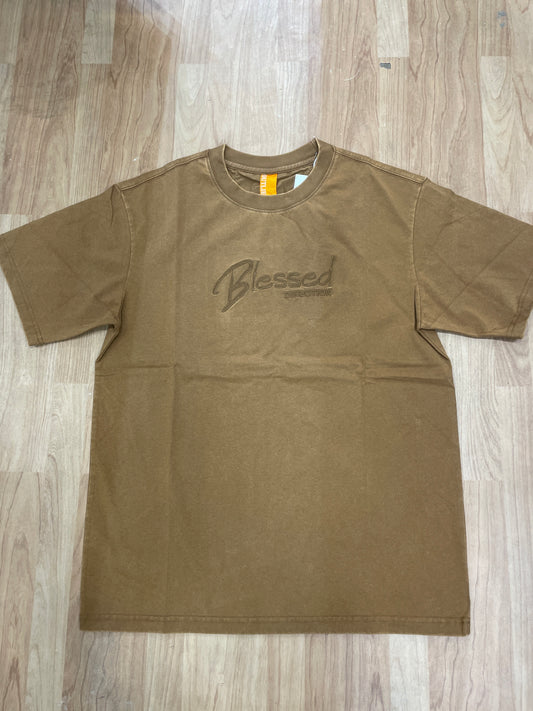 OUTLIER Rust Colour Blessed Direction Print With Back Print Premium Quality Round Neck T-Shirt OL 494