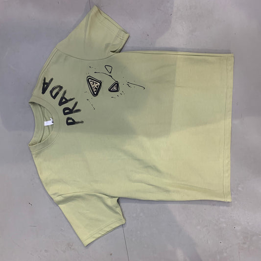ARP PRA Light Green Colour White Paint With Metal Patch Imported Oversized Unisex T Shirt 118