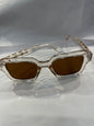 ARP PRA Trancy Brown Frame Brown Shade Unisex Sunglasses SUN271