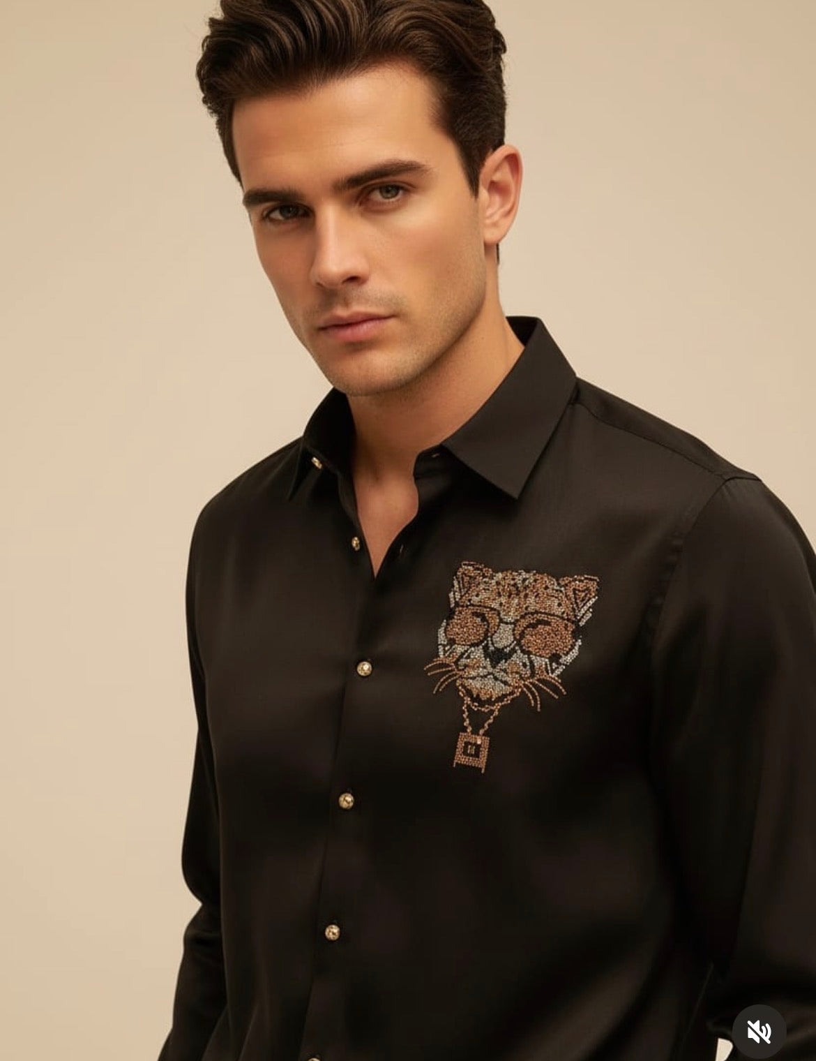 AQUARIUS Black Colour Cat Golden Silver Gold Stud Design Premium Quality Full sleeve Shirt 2570