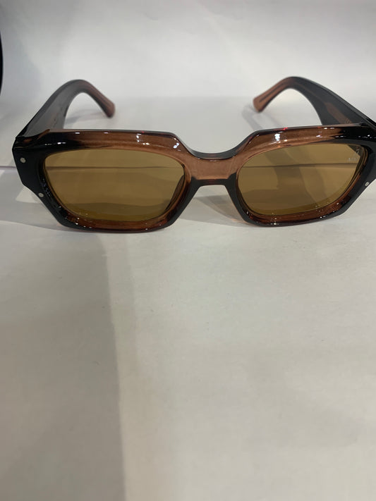 CAJ Brown Black Glossy Frame Brown Shade Unisex Sunglasses SUN815