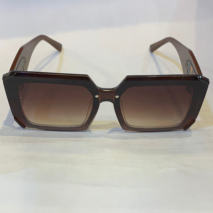 ARP Brown Frame Brown Shade Sunglass G101 66 7-149 C4