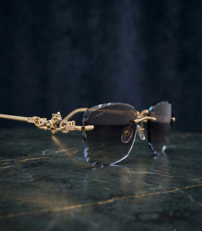 RAC CAR Gold Stick Frameless Brown Shade Unisex Sunglass CT985/s 57 18 140