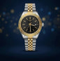 SIT TIS Black Colour Double Tone Chain Date Working Mens Watch 990621
