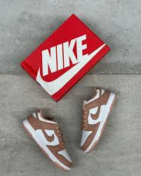 Kin Brown White Brown Tick Colour Sneaker Dunk Shoes 988514