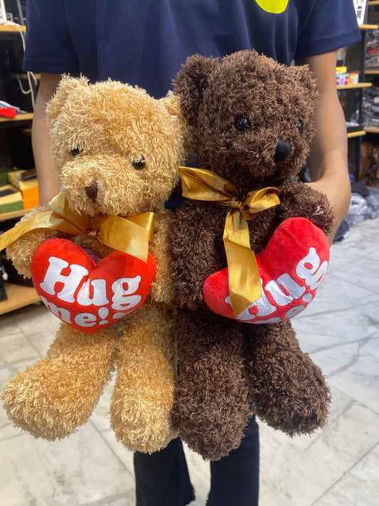 Imported Teddy China Quality HUG ME 987511