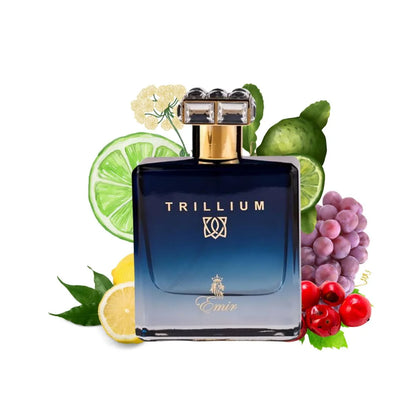PARIS CORNER EMIR TRILLIUM EAU DE PARFUM FOR MEN 100 ML