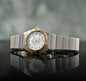 EMO Silver Gold Chain Gold Dial Premium Quality Ladies Watch 988383