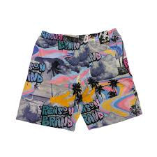 REASON Purple Pink Grey Printed Colour Unisex Shorts 987017