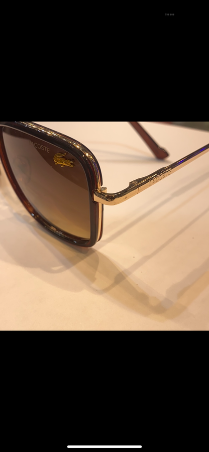 Gold Brown Frame Brown Shade L142 072 56 17 135 CAL Sunglass