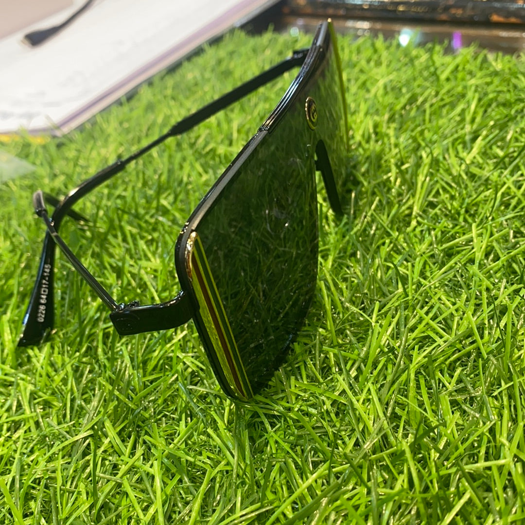 Sunglasses Model 0226
