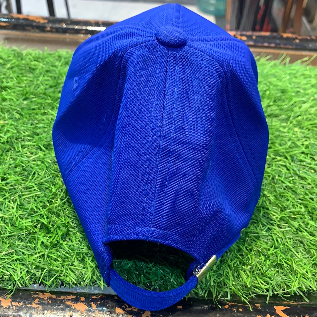 Blue SB Cap 700246