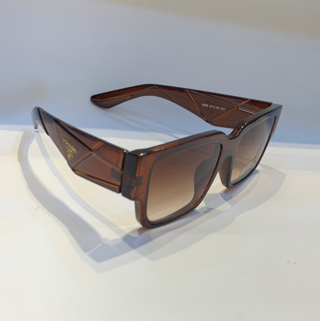 ARP Glossy Brown Frame Brown Shade Unisex Sunglass 9565 57 18-143