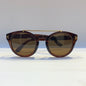 Mot Brown Frame Brown Shade Sunglass