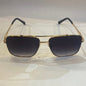 RHC CH HC Golden Frame Black Shade Unisex Branded 22334 60 14 142