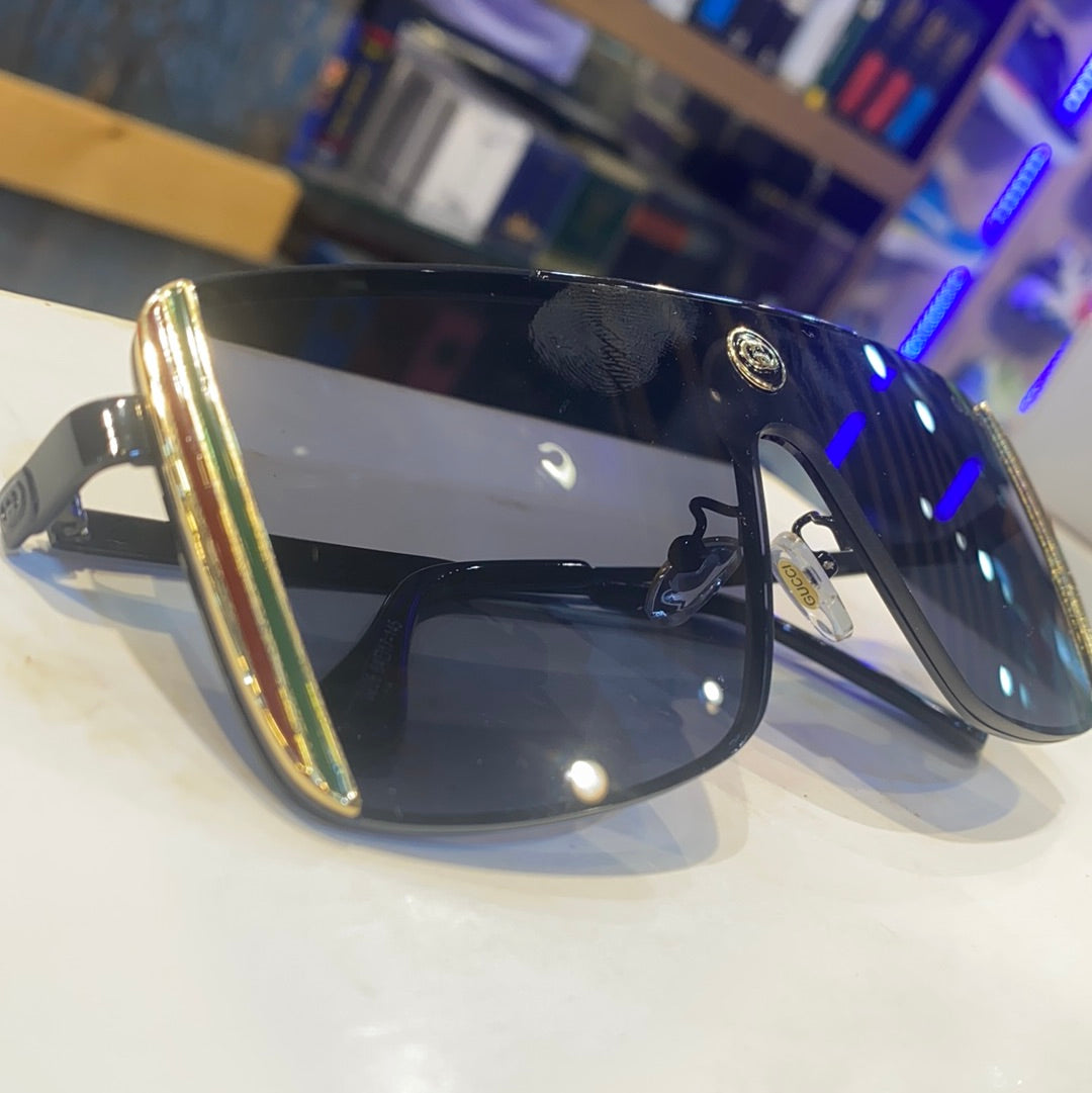 Sunglasses Model 0226
