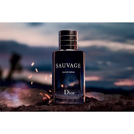 Sauvage Dior Perfume Vaporisateur Spray EDP 100ML