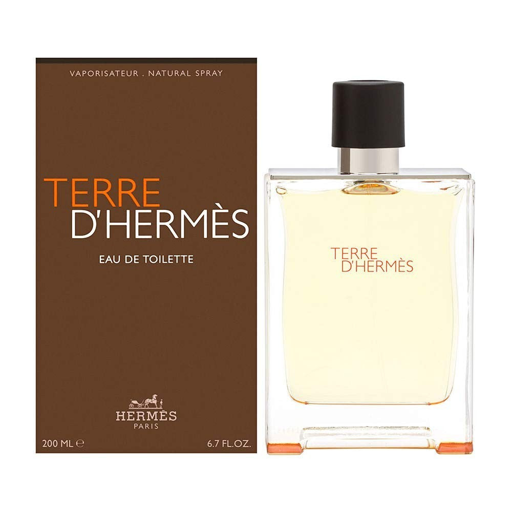 Terre D’Hermes Hermes EDP 100ML