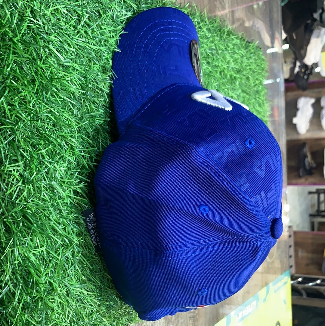 Fil Blue Cap