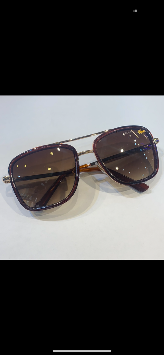 Gold Brown Frame Brown Shade L142 072 56 17 135 CAL Sunglass
