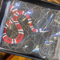 Branded Luxury Italian Leather Wallet Model Silk Screen Black Snakes 60223054