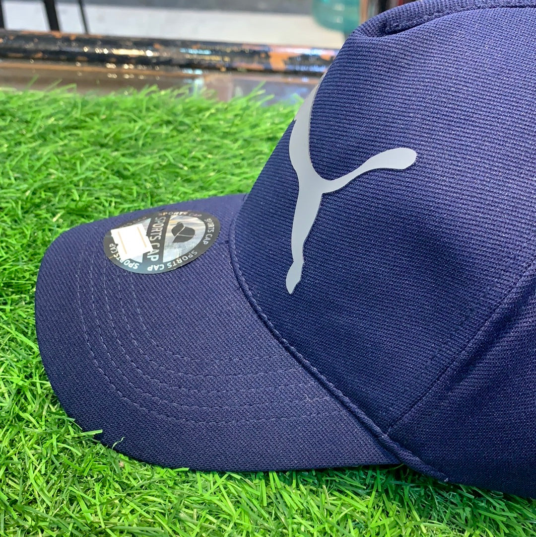 Blue PA Cap 700243